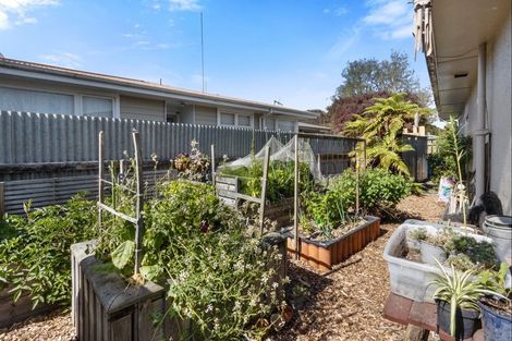 Photo of property in 56 James Foley Avenue, Pirimai, Napier, 4112