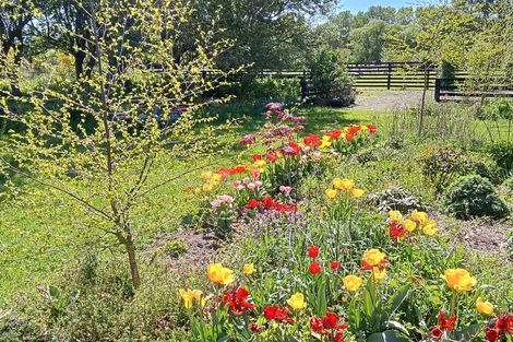 Photo of property in 40 Cashel Street, Waimate, 7924