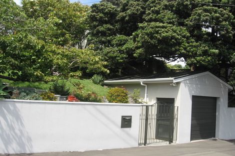 Photo of property in 25 Waipapa Road, Hataitai, Wellington, 6021