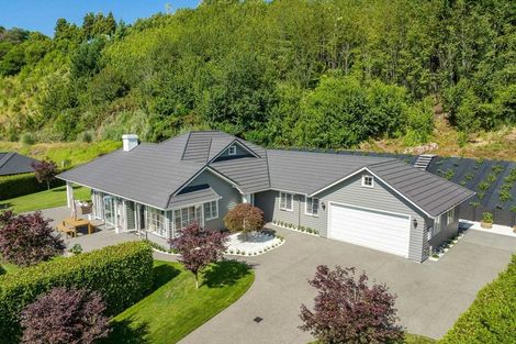 Photo of property in 209l Pengary Lane, Pyes Pa, Tauranga, 3112