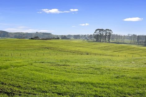 Photo of property in 163 Starkey Road, Morrinsville, 3371