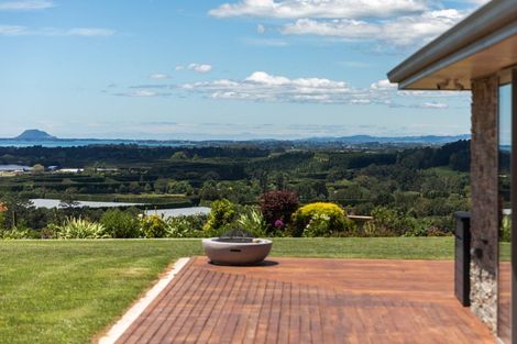 Photo of property in 265 Hot Springs Road, Tahawai, Katikati, 3178