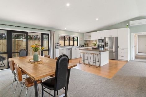 Photo of property in 56 Daniell Street, Solway, Masterton, 5810