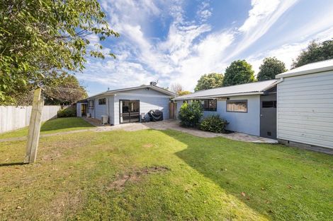 Photo of property in 25 Pembroke Street, Ashhurst, 4810