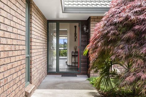 Photo of property in 117 Haukore Street, Hairini, Tauranga, 3112