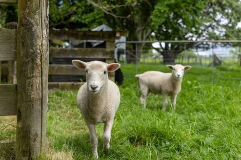 Photo of property in 945 No 7 Road, Springdale, Waitoa, 3380