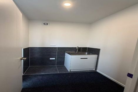 Photo of property in 47c Bruce Mclaren Road, Henderson, Auckland, 0612