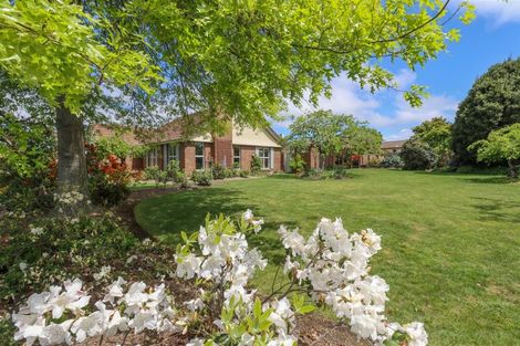 Photo of property in 7 Rata Place, Glenwood, Timaru, 7910