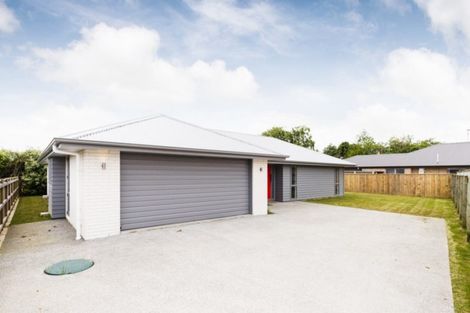 Photo of property in 25 Barry Curtis Place, Levin, 5510