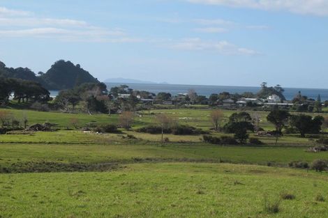 Photo of property in Te Punga, 151e Te Punga Road, Whangapoua, Coromandel, 3582