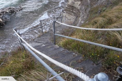 Photo of property in 877 Whangaparaoa Road, Manly, Whangaparaoa, 0930