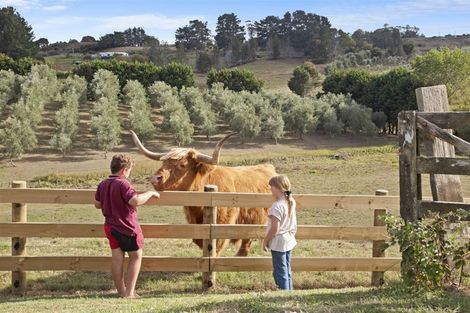 Photo of property in 774a Glen Murray Road, Rangiriri, 3772