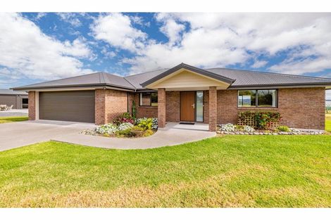 Photo of property in 375 Te Ahu Ahu Road, Waimate North, Kaikohe, 0472