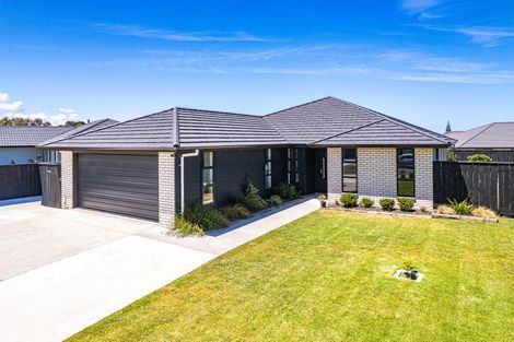 Photo of property in 73 Tawhero Street, Gonville, Whanganui, 4501