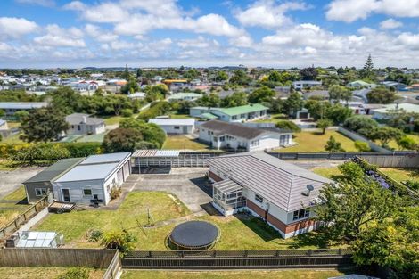 Photo of property in 10 Hobson Street, Levin, 5510