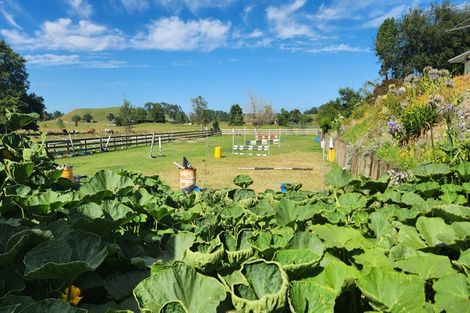 Photo of property in 953 Roto O Rangi Road, Rotoorangi, Cambridge, 3495