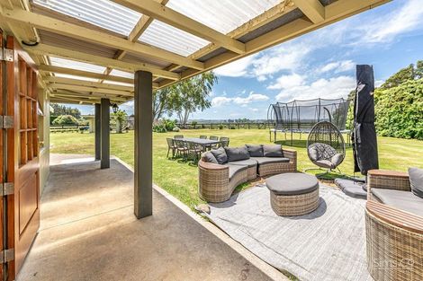 Photo of property in 250 Campbell Road, Brunswick, Whanganui, 4571