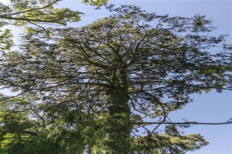 Photo of property in 747 Scenic Drive, Henderson Valley, Auckland, 0612