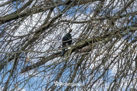 Photo of property in 21 Exchange Street, Ebdentown, Upper Hutt, 5018