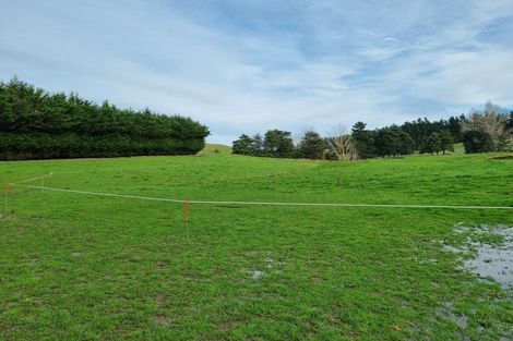 Photo of property in 98 Fosters Road, Cheviot, 7383