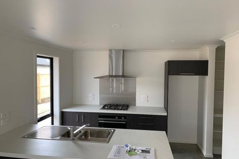 Photo of property in 30 Ladeira Place, Fitzroy, Hamilton, 3206