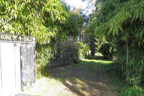 Photo of property in 40 Boatmans Road, Cronadun, Reefton, 7895