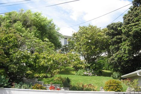 Photo of property in 25 Waipapa Road, Hataitai, Wellington, 6021