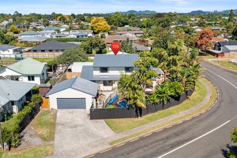 Photo of property in 175 Cameron Road, Te Puke, 3119
