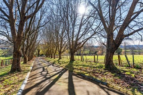 Photo of property in 679 Runciman Road, Runciman, Drury, 2578