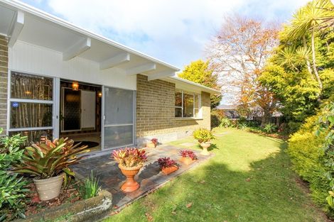 Photo of property in 295d Huatoki Street, Upper Vogeltown, New Plymouth, 4310