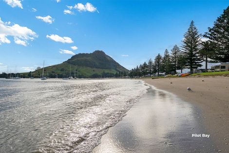 Photo of property in 3 Commons Avenue, Mount Maunganui, 3116