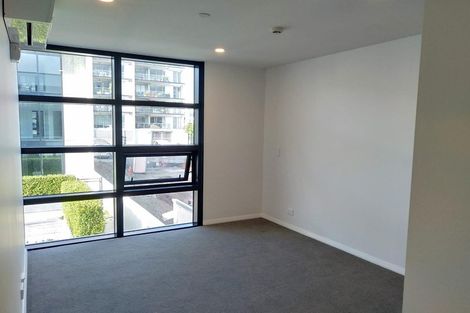 Photo of property in 501/8 Kingsland Terrace, Kingsland, Auckland, 1021