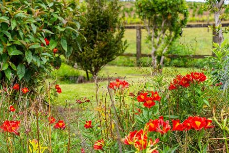 Photo of property in 4317 State Highway 12, Aranga, Dargaville, 0376