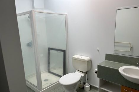 Photo of property in Dixonlane Apartments, 26/7 Feltex Lane, Te Aro, Wellington, 6011