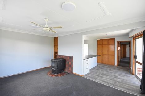 Photo of property in 217 Union Street, Milton, 9220