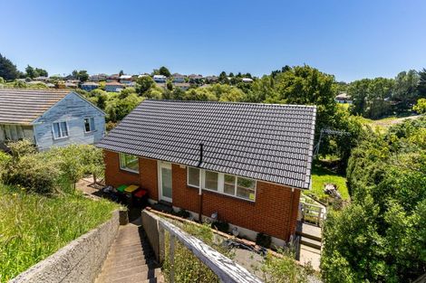 Photo of property in 20 Panmure Avenue, Calton Hill, Dunedin, 9012