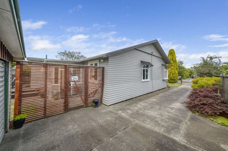 Photo of property in 59 Bryant Street, Takaro, Palmerston North, 4412