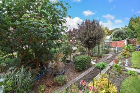 Photo of property in 49 Silverton Street, Andersons Bay, Dunedin, 9013