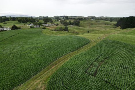 Photo of property in 69 Overdale Road, Putaruru, 3411