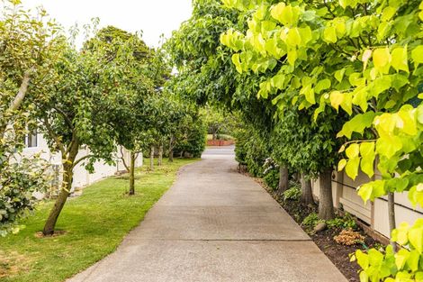 Photo of property in 6 Grey Street, College Estate, Whanganui, 4500