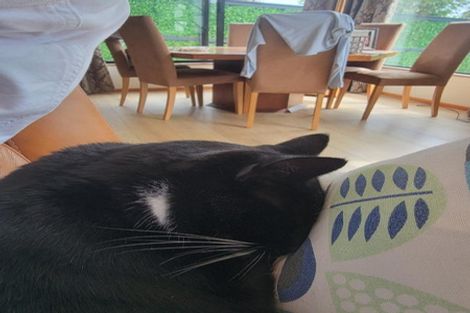 Photo of property in 1/14 Beresford Street, Bayswater, Auckland, 0622