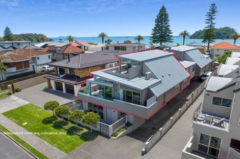 Photo of property in 2/23 Rita Street, Mount Maunganui, 3116