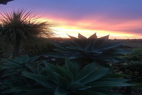 Photo of property in 415 Spains Road, Awanui, 0486