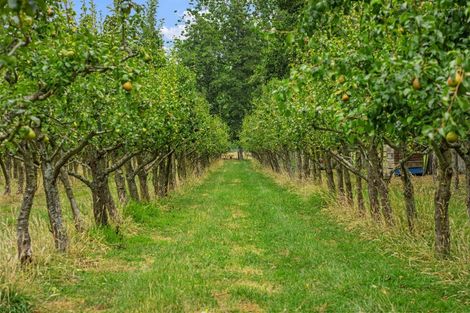 Photo of property in 96 Berquist Road, Ohaupo, 3881