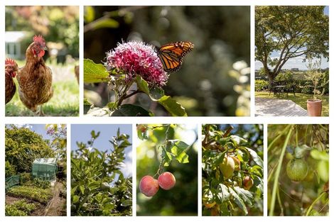 Photo of property in 473 Old Highway, Whakamarama, Tauranga, 3180