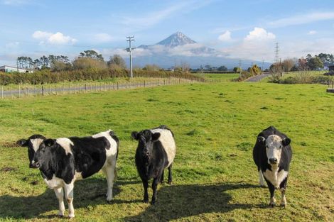 Photo of property in 220 York Road, Midhirst, Stratford, 4394