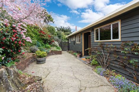Photo of property in 27 Elliffe Place, Shiel Hill, Dunedin, 9013