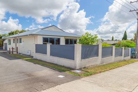 Photo of property in 253a Cambridge Street, Levin, 5510