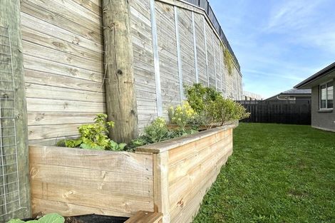 Photo of property in 72 Adler Drive, Ohauiti, Tauranga, 3112