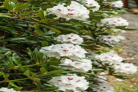 Photo of property in 1849 Manawahe Road, Manawahe, Whakatane, 3194